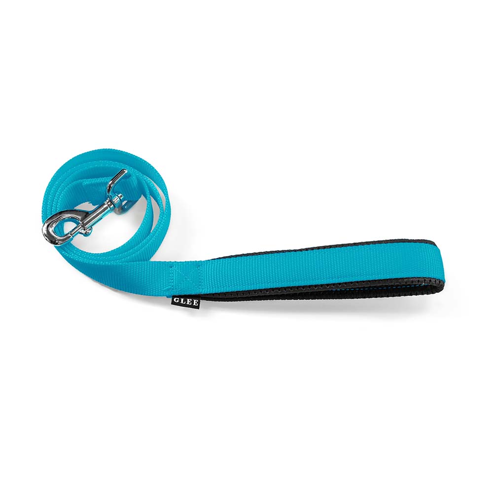 88570.jpg GLEE LEASH WITH SINGLE WEBBING TAPE, COMFORT PETROL LARGE 25mmx122cm - Image 1