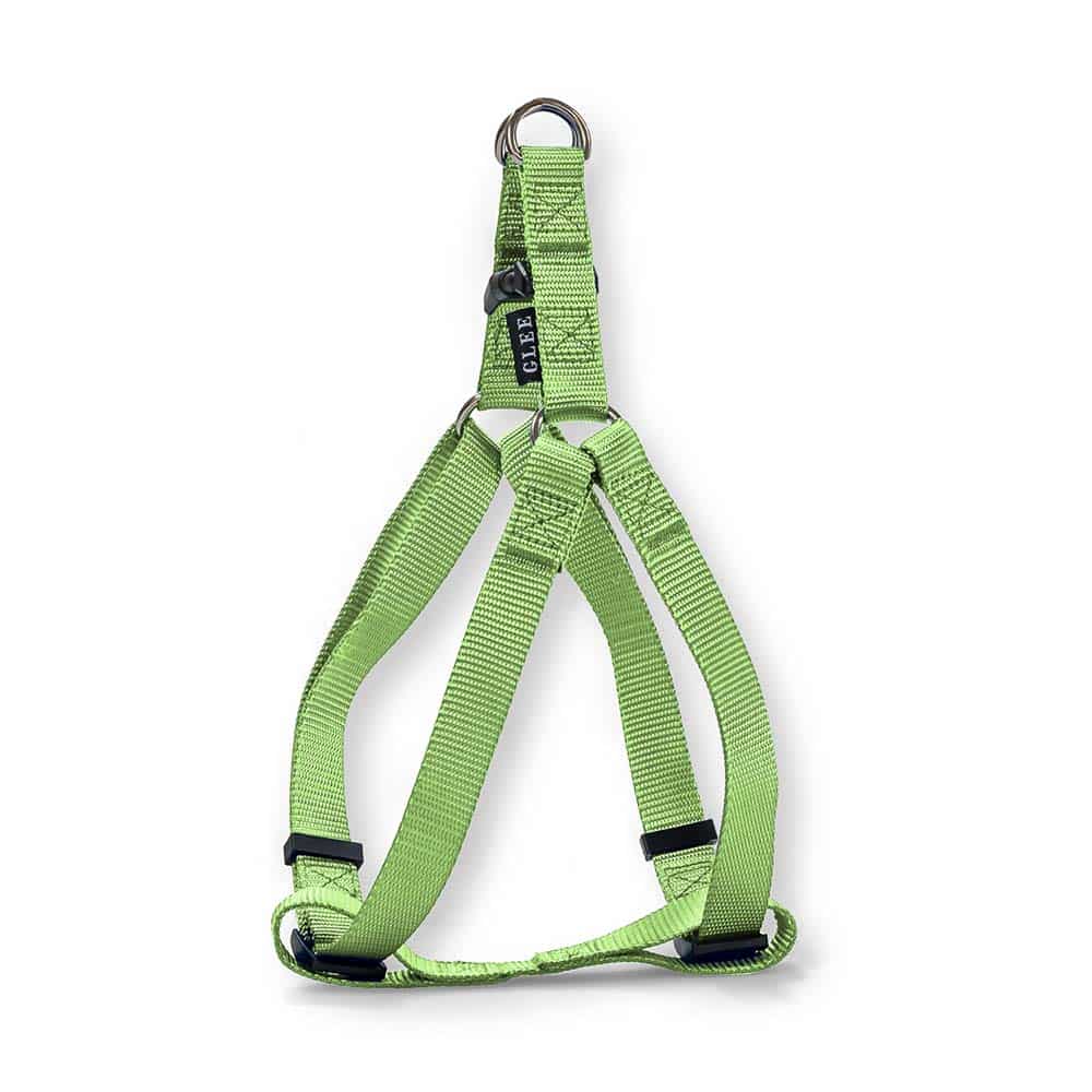 88859.jpg GLEE HARNESS LIME XSMALL 10mmx25cm-36cm - Image 1