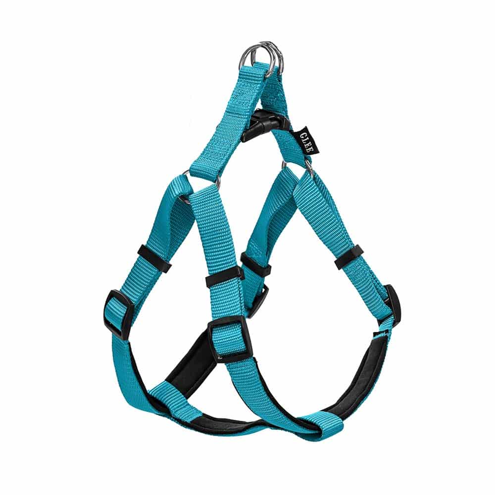88881.jpg GLEE HARNESS WITH NEOPRENE PADDING PETROL MEDIUM 20mmx56-66cm - Image 1