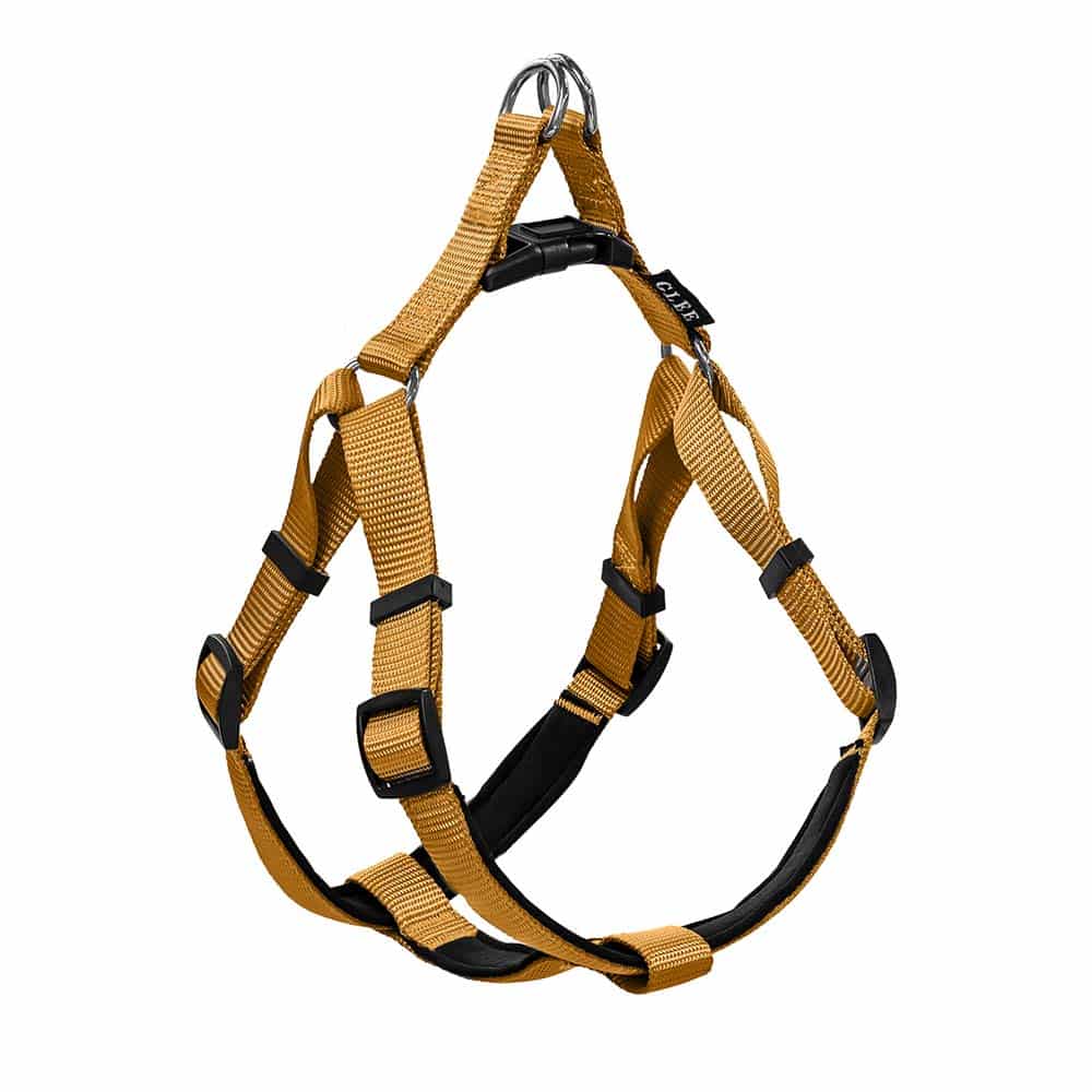 88815.jpg GLEE HARNESS WITH NEOPRENE PADDING OCHRE XSMALL 10mmx25cm-36cm - Image 1