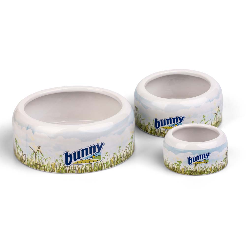 BU17015.jpg BOWL XL - Image 1