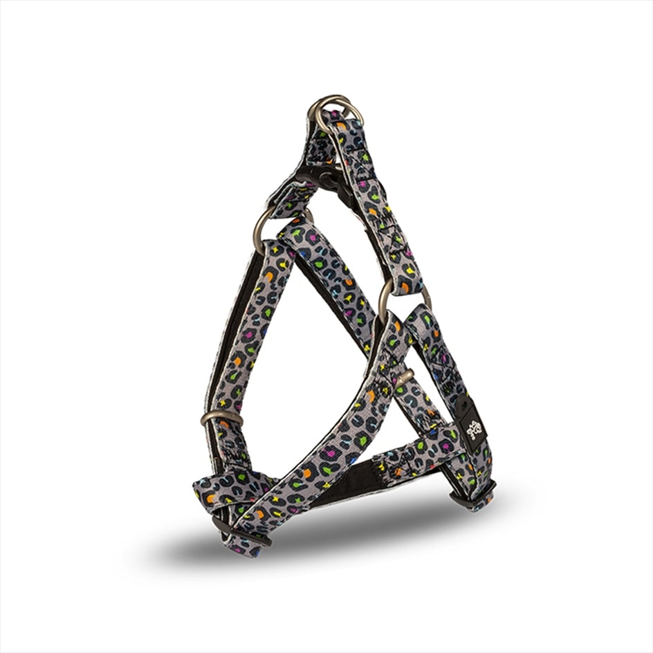 GL220.jpg GLEE HARNESS TYPE A INDY LEO XXS 25cm–36cm - Image 1