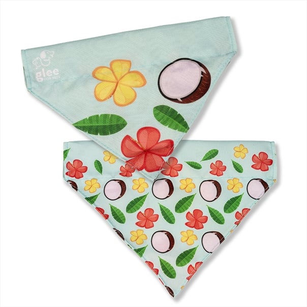 GL254.jpg GLEE BANDANA AQUA BATIDA M/ L 22.5cm x 17cm x 4.5cm - Image 1