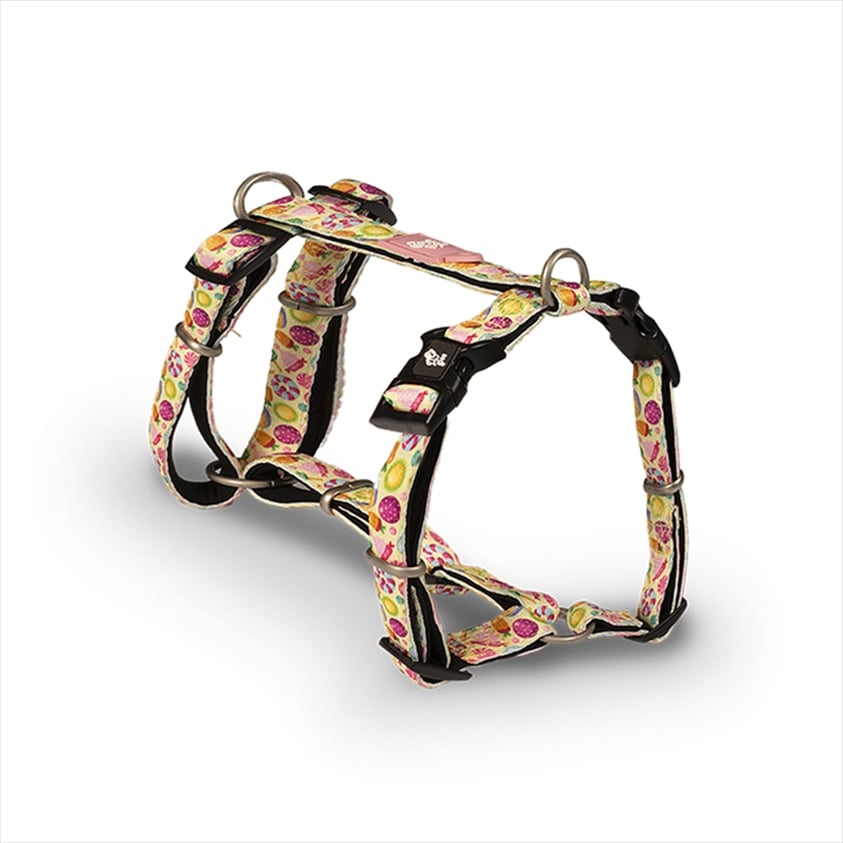 GL281.jpg GLEE HARNESS TYPE H CANDIES XS 41cm–52cm - Image 1